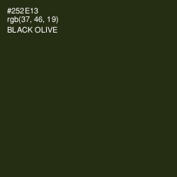 #252E13 - Black Olive Color Image
